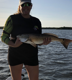 Catch Redfish in Bokeelia today!